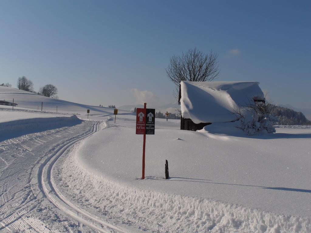 Bergheim Komfort Ferienwohnungen Walchsee Exterior foto