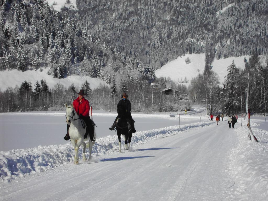 Bergheim Komfort Ferienwohnungen Walchsee Exterior foto